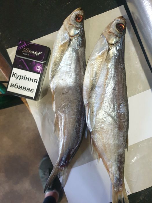 Смачна рибка до пива. Тарань Лящь сушена капчена з ікрою