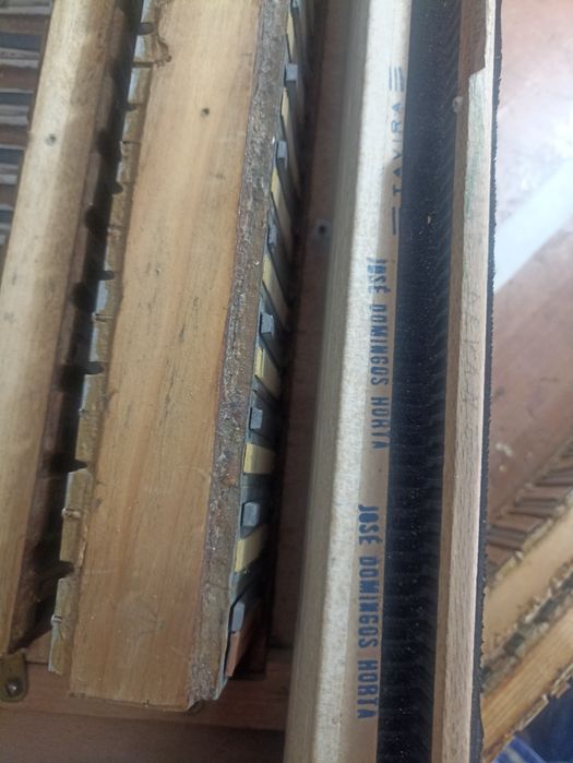 Acordeon Stela de botões 4 voz