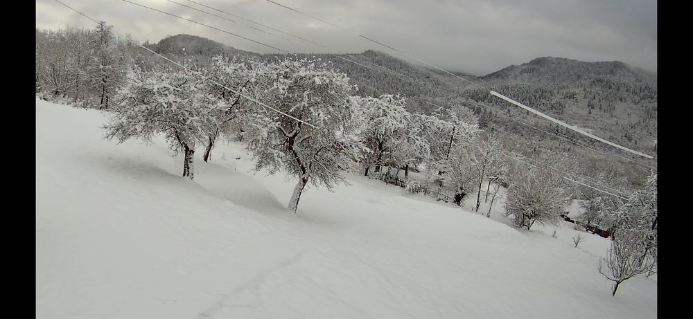 Східниця-Відпочинок в Карпатах. Оренда. Здам.Котедж з басейном.