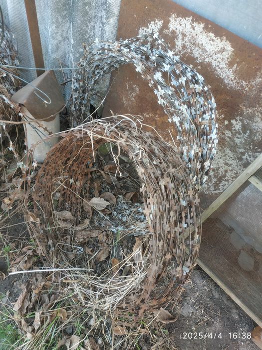 Ягоза,есть 6 бухт,цена за все