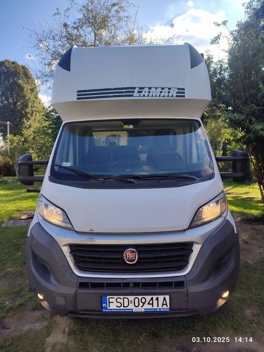 Fiat Ducato Maxi  Do sprzedania Fiat Ducato, 10 EP z windą.