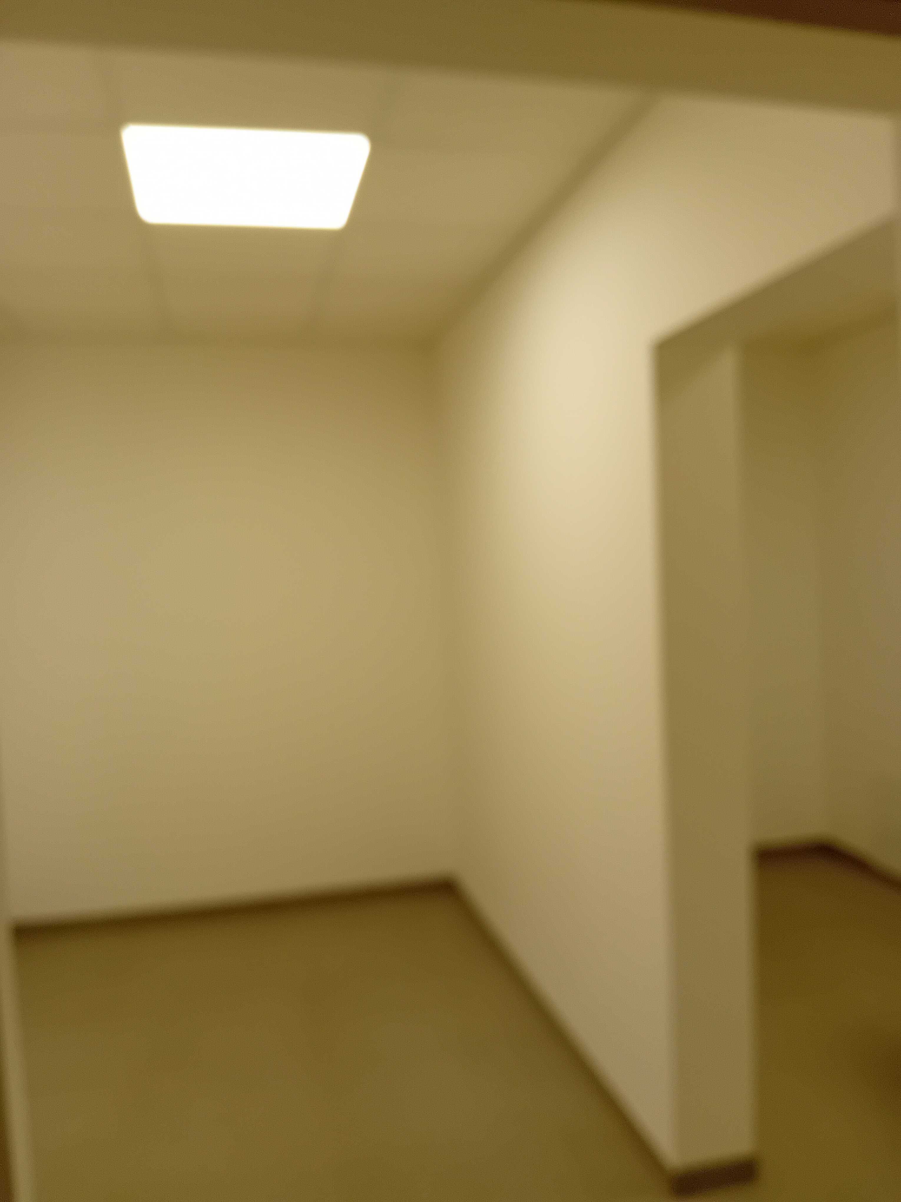 lokal do wynajęcia