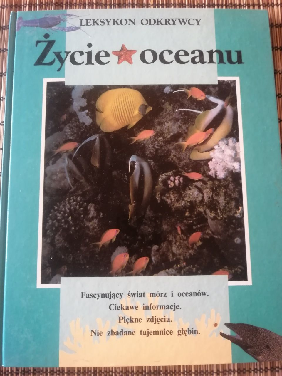 Życie oceanu mały odkrywca, książka dla dzieci