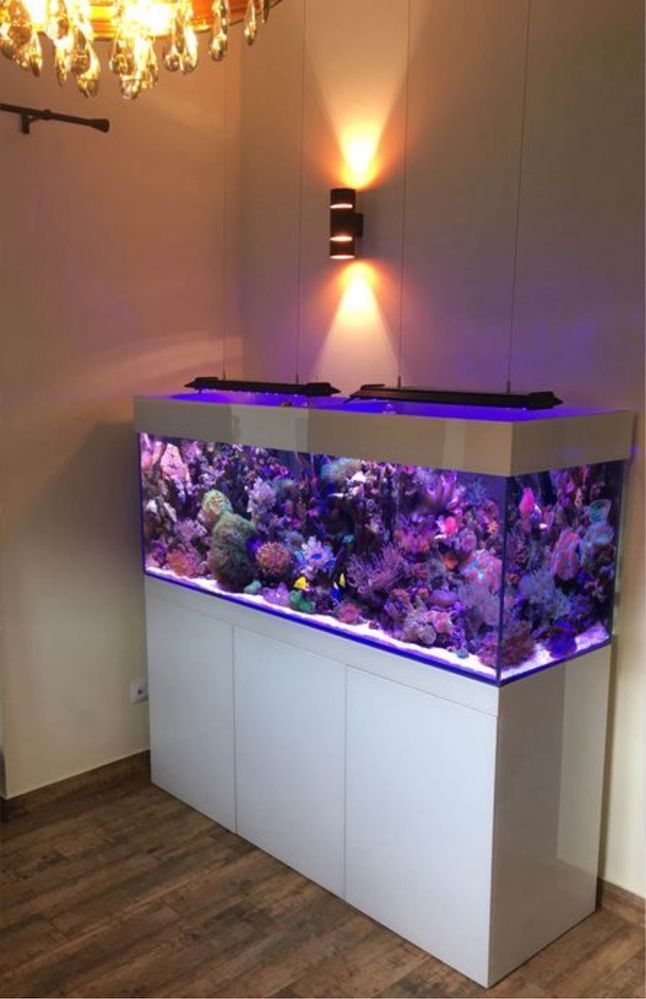 Akwarium 120/40/50 cm - samo szklo float