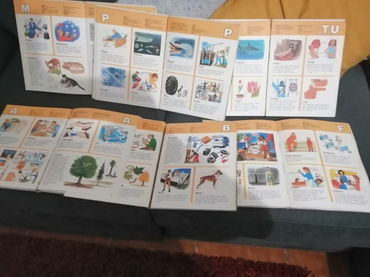 Enciclopédia infantil composto por sei livros