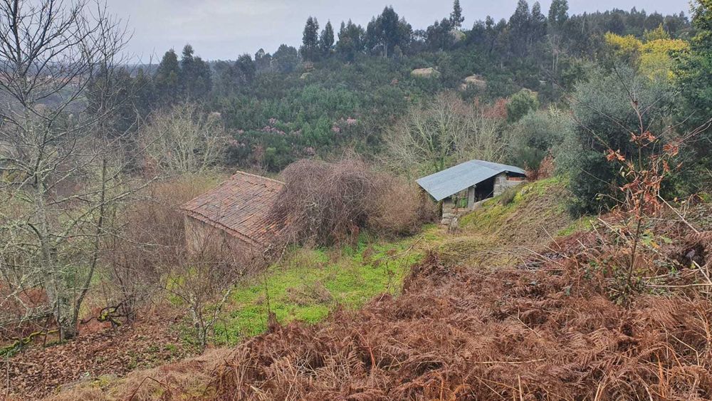 Propriedade com 4ha com Casas, Água, Vista e Muito Acolhedora