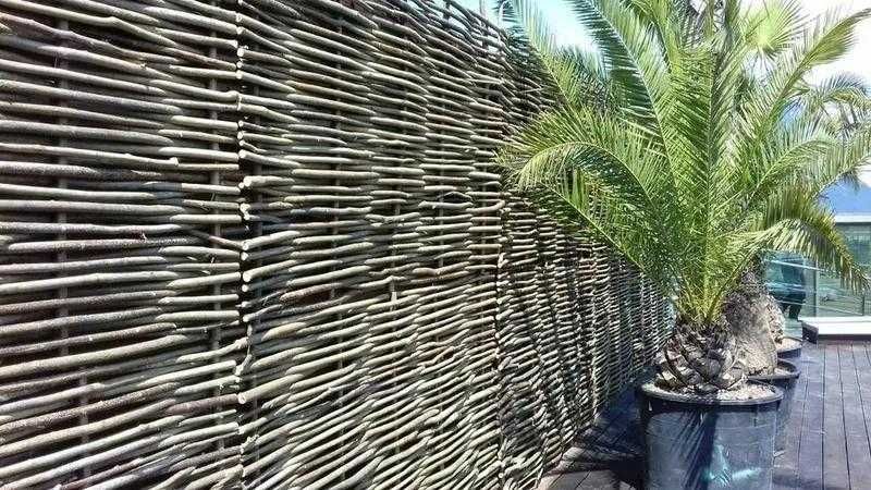 Плетеный забор в Киеве, Лещина, тин Декоративный забор, тын, плетень