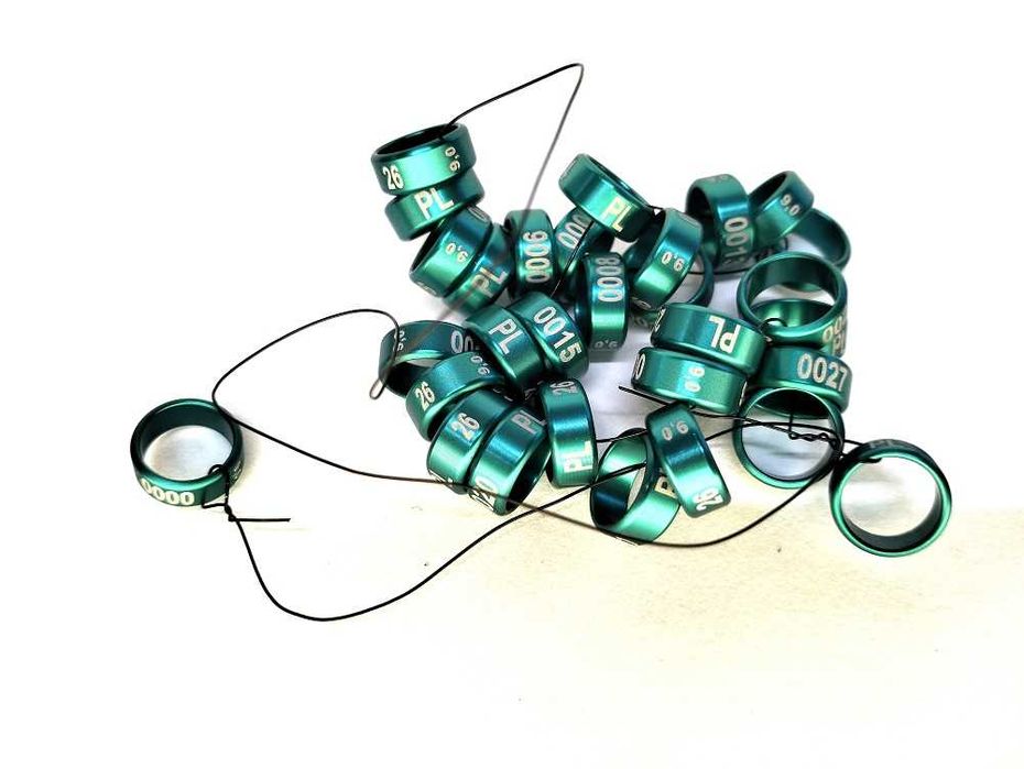 Obrączki aluminiowe dla papug 2026 zielone, obrączki stałe, rodowe