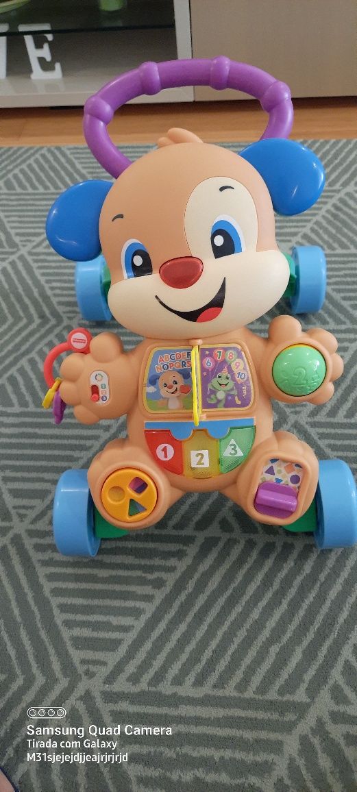Andarilho Fisher price