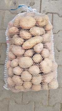 Ziemniaki jadal mały kaliber Irga Vineta