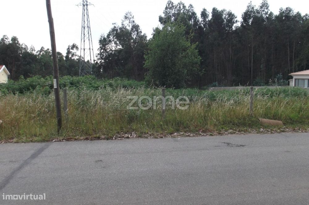 Terreno na Branca (Albergaria a Velha)