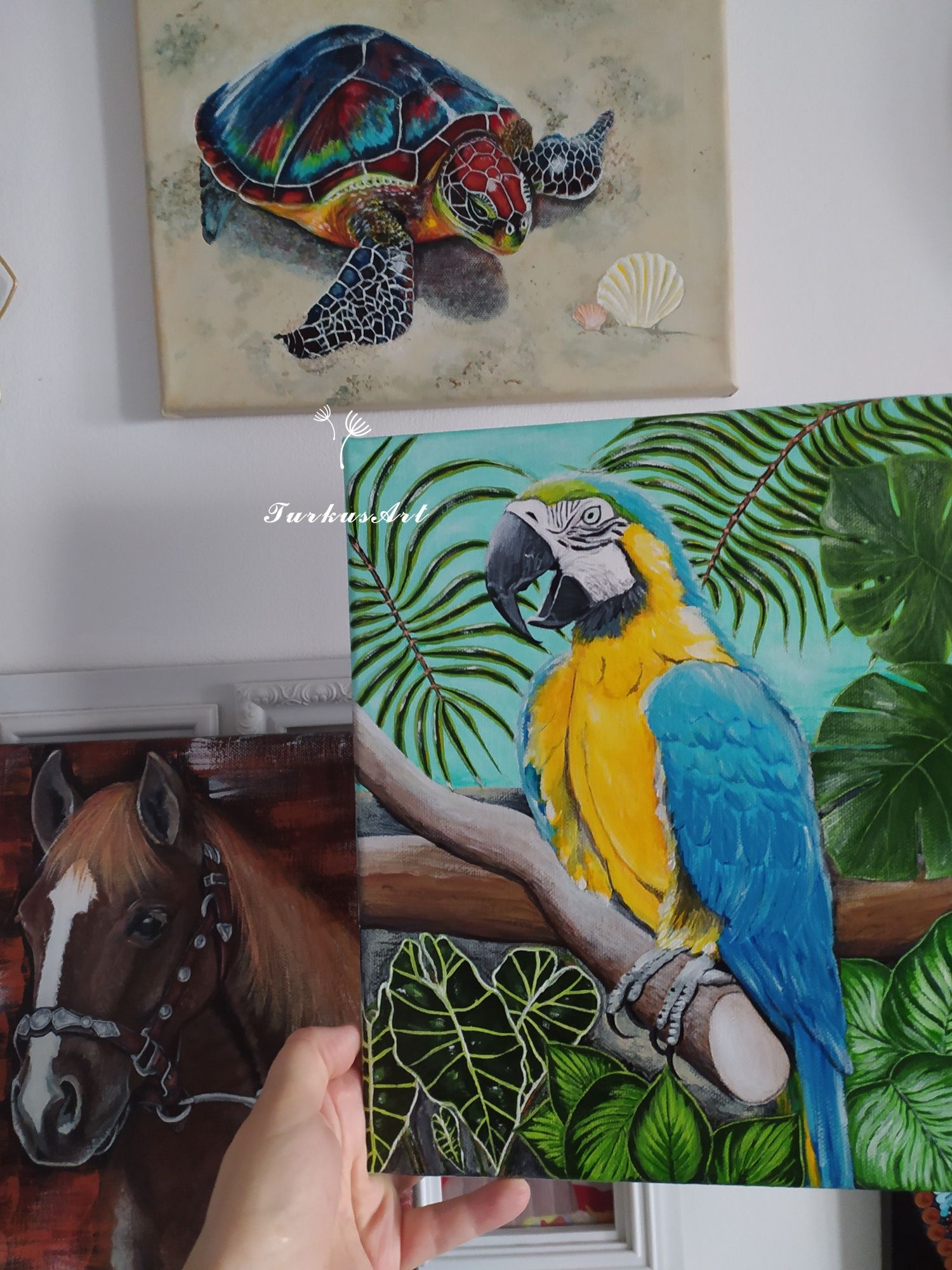 Obraz Papuga 30x25cm, akryl na płótnie