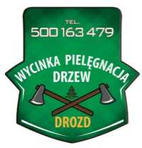 Wycinka,pielęgnacja,drzew,frezowanie,usuwanie karp,mulczer leśny,rębak