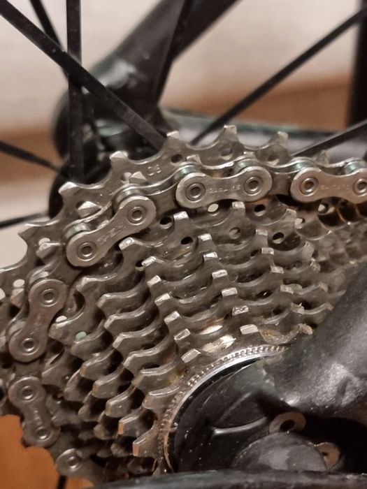 Rower szosowy Rose WSL 105