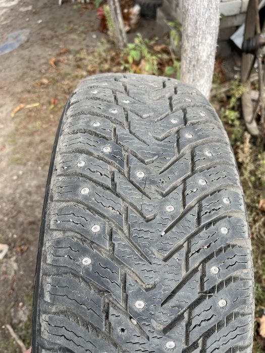 Nokian Hakkapelitta 8 (46 міс. 20 рік)