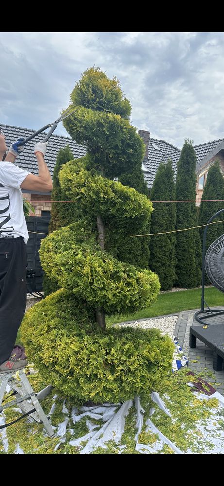 Ogrody ,formowanie krzewów ozdobnych,pielegnacja
