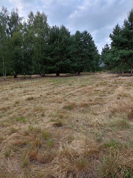 Sprzedam teren inwestycyjny