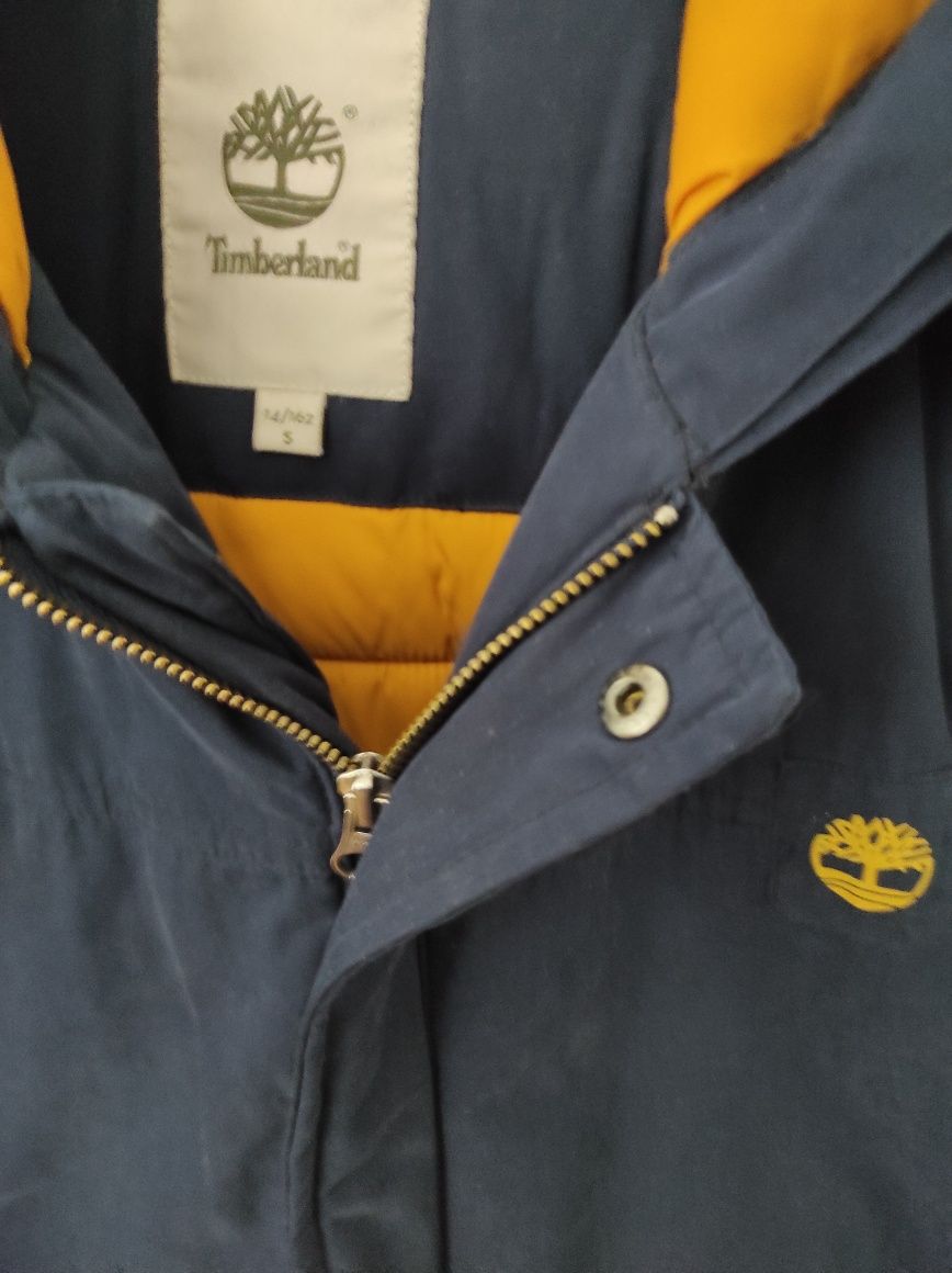 Parka Timberland dla chłopca