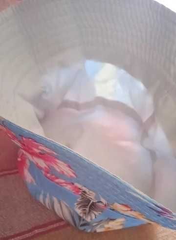 Czapka rybaczka, kapelusz, bucket.