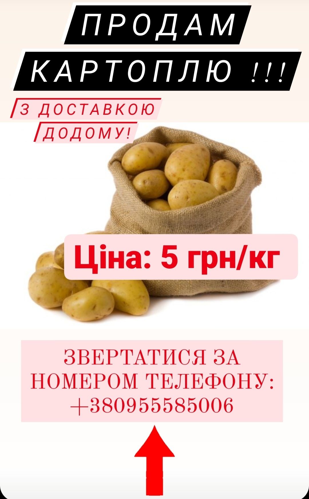 Картопля 4грн/кг продам