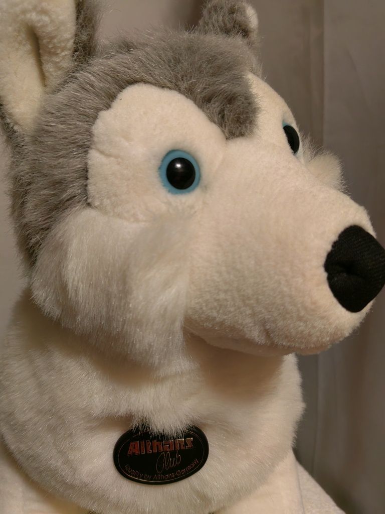 Peluche Husky, da Althans Club, 35 cm