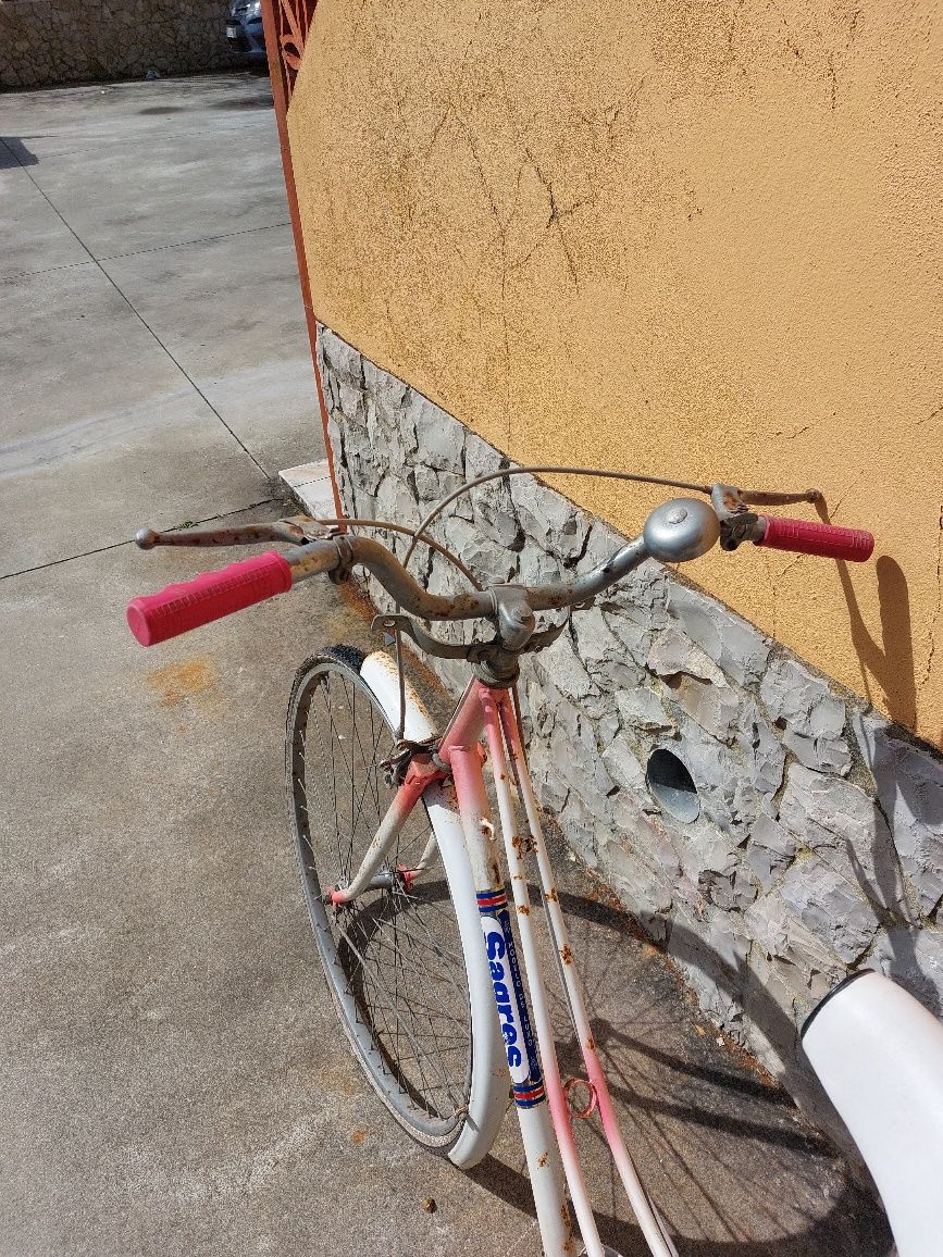Pasteleira bicicleta