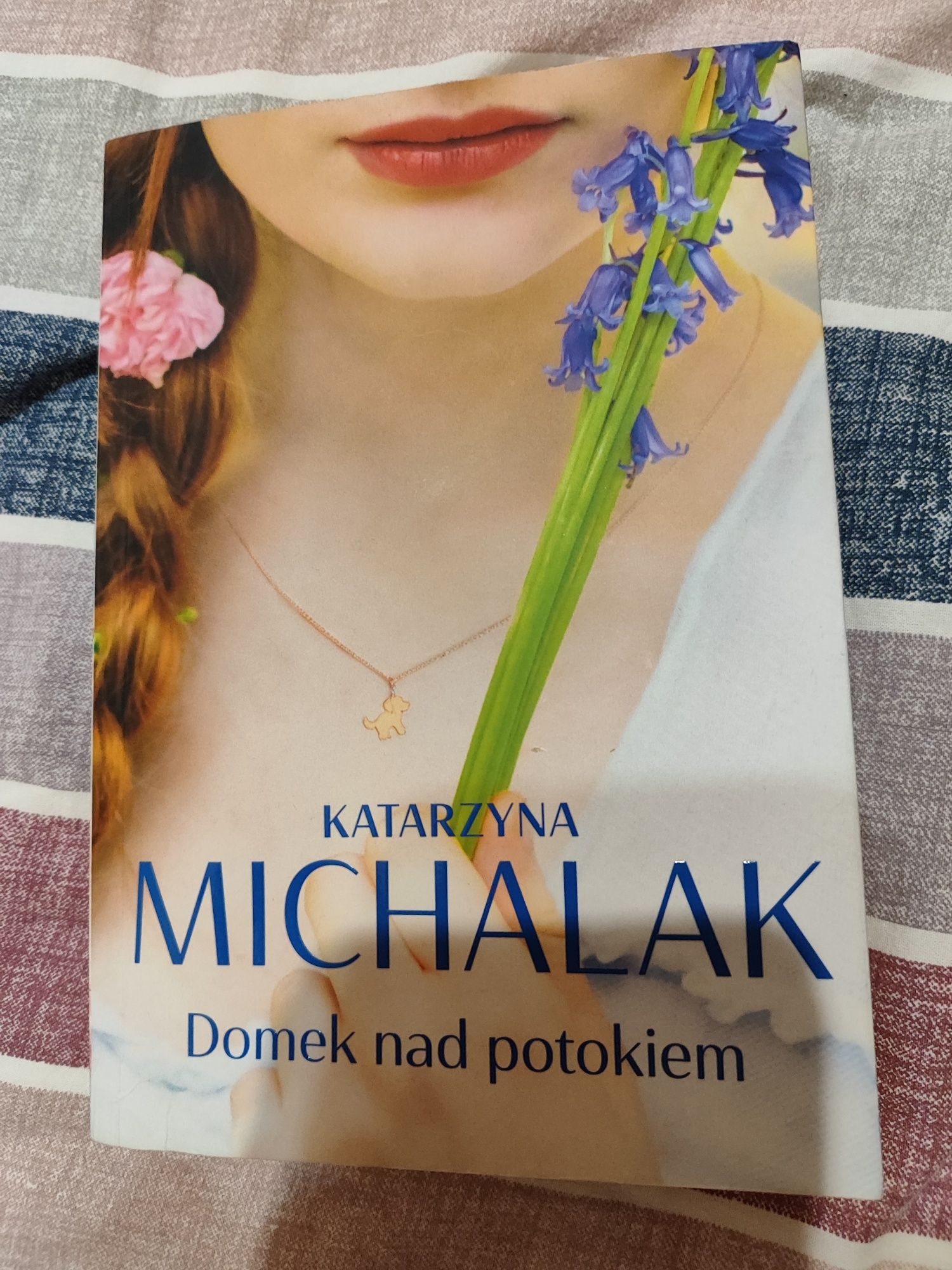 Książka Domek nad potokiem Katarzyna Michalak