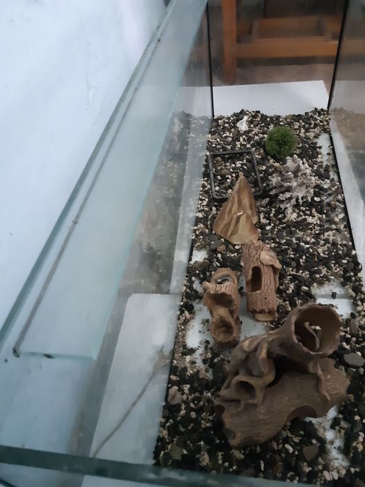 Продам акваріум на 200л і зовнішній фільтр