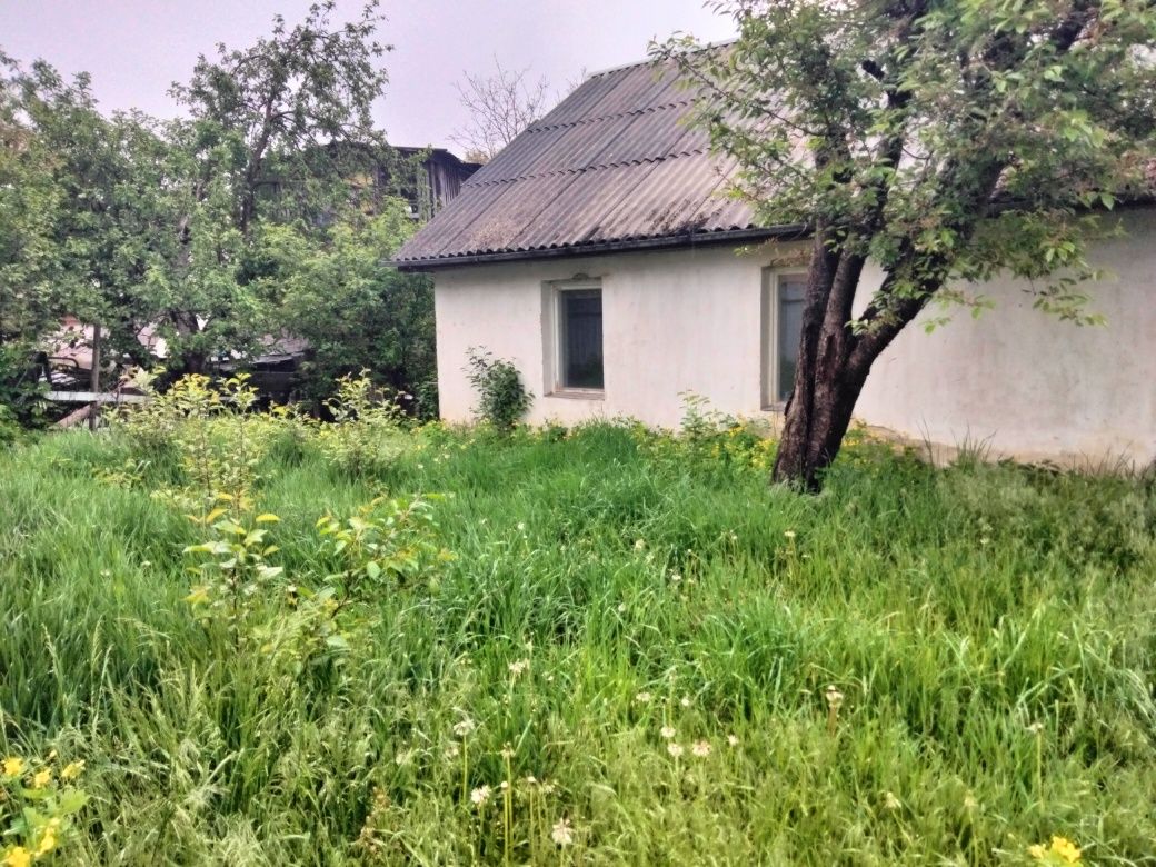 Продам будинок в місті з окремим подвір'ям.