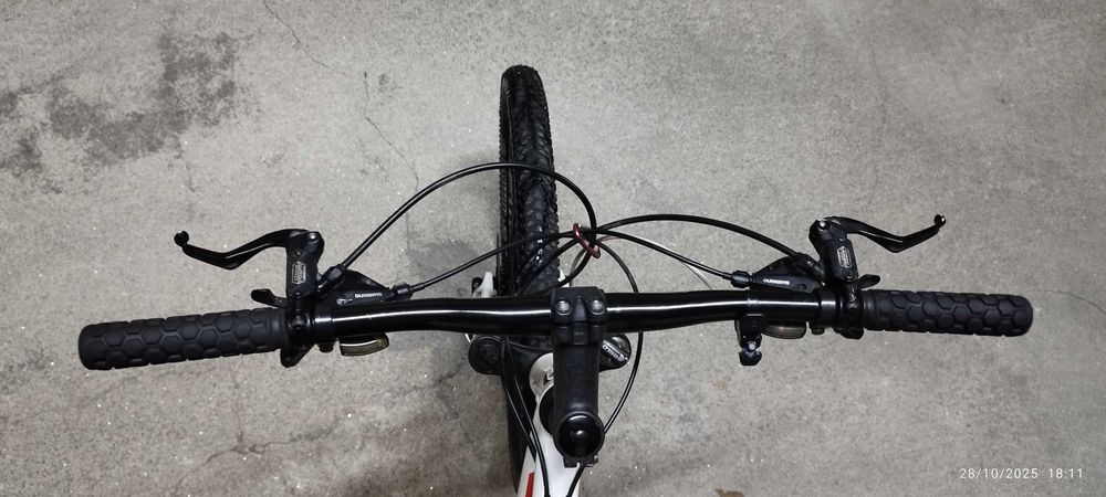 Bicicleta Berg Trail Rock HD 26"  28Vel