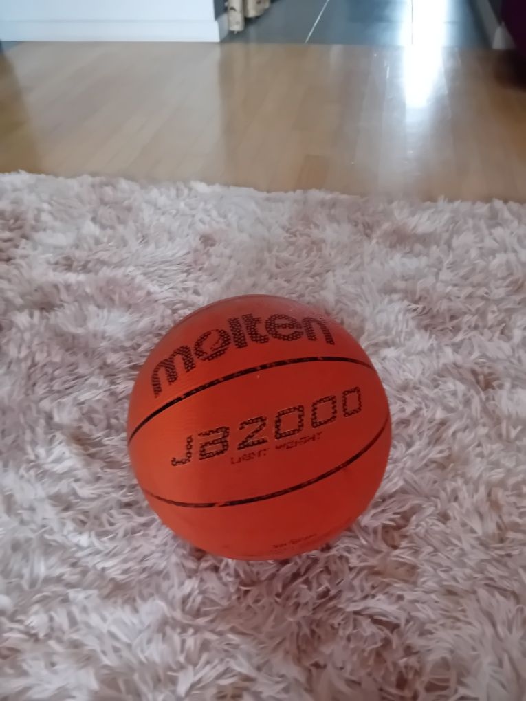 Piłka do koszykówki Molten B5C2000-L

Piłka  przeznaczona do gry zarów