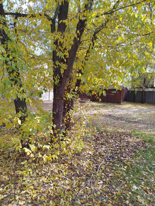 Продам, Сдам Гараж на Космосе