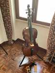 Violoncelo Stentor Student I 4/4