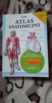 Atlas anatomiczny