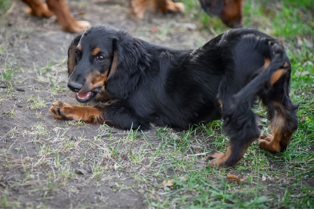 Чудовий хлопчик дш такси