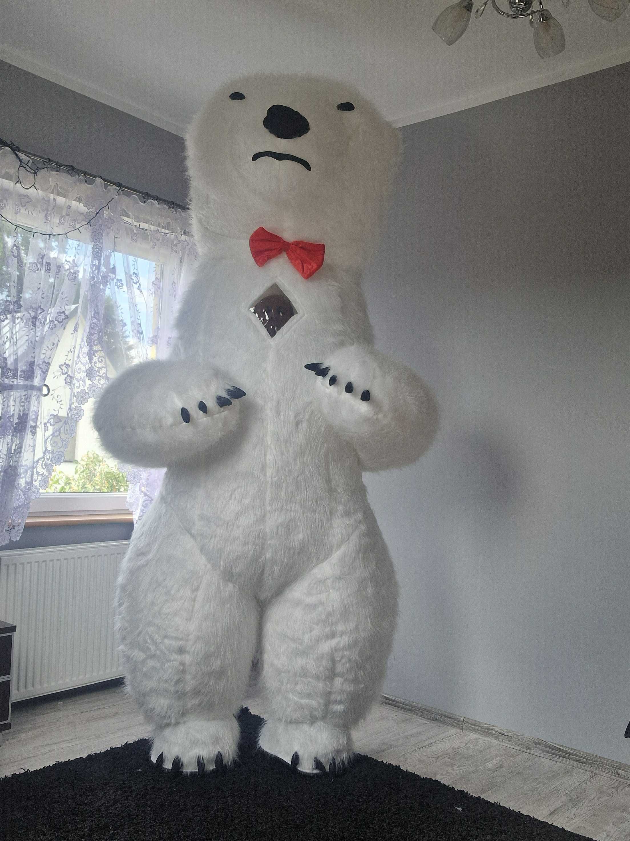 Biały Miś na wynajem wesela,urodziny,chrzciny i nie tylko