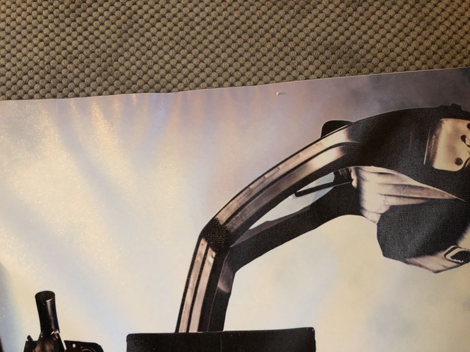 Plakat obraz na płótnie roz..60x90cmz filmu Powrót do Przyszłości