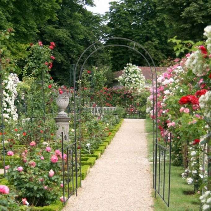Żelazna pergola z bramką
