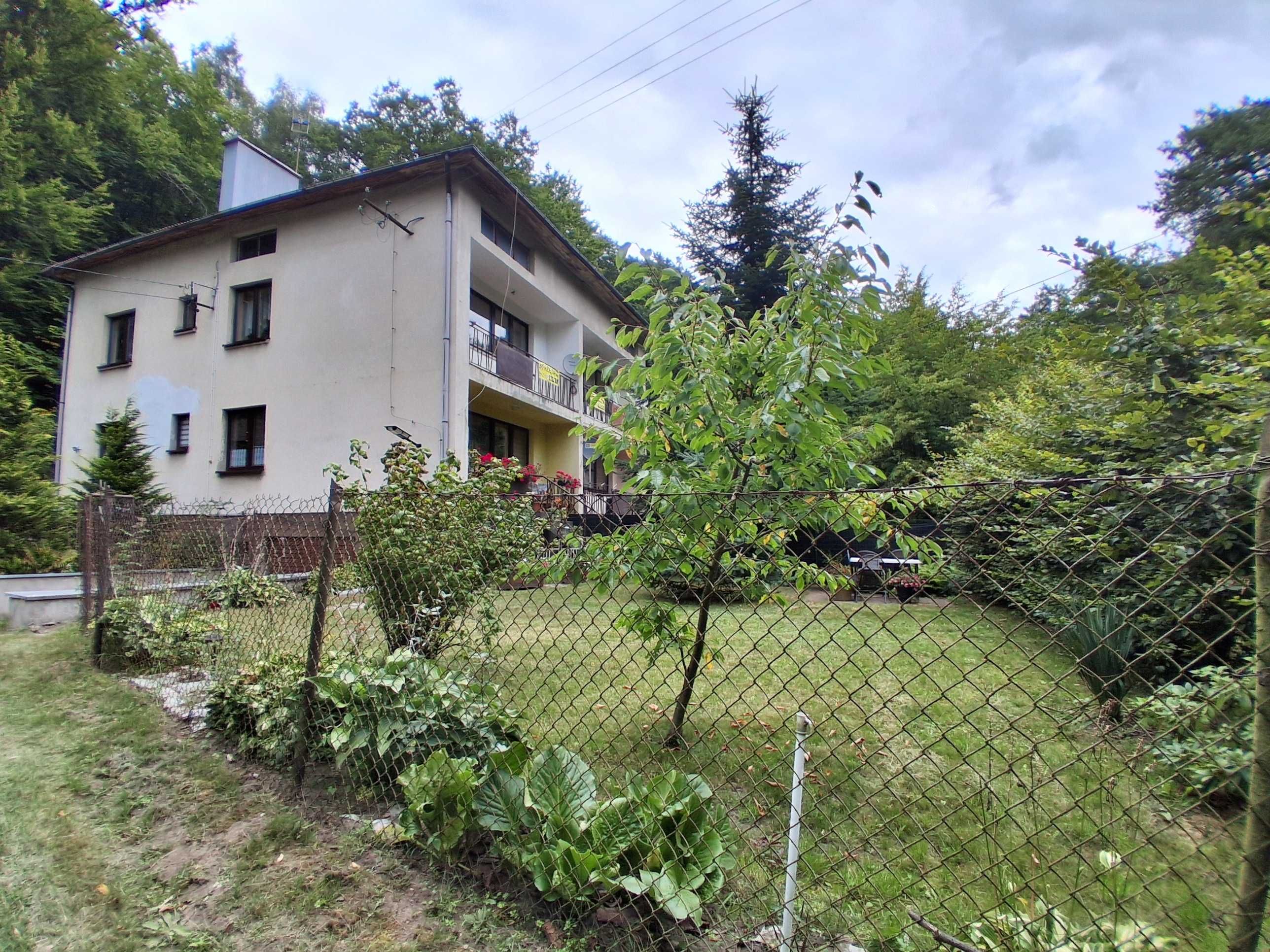 Mieszkanie dwa pokoje, 1 piętro , w otoczeniu lasów, Złoty Potok/Janów