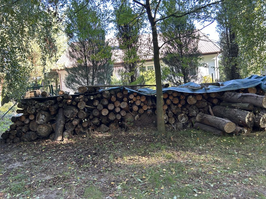 Drewno opałowe mieszane ( olcha brzoza akacja) / sosna