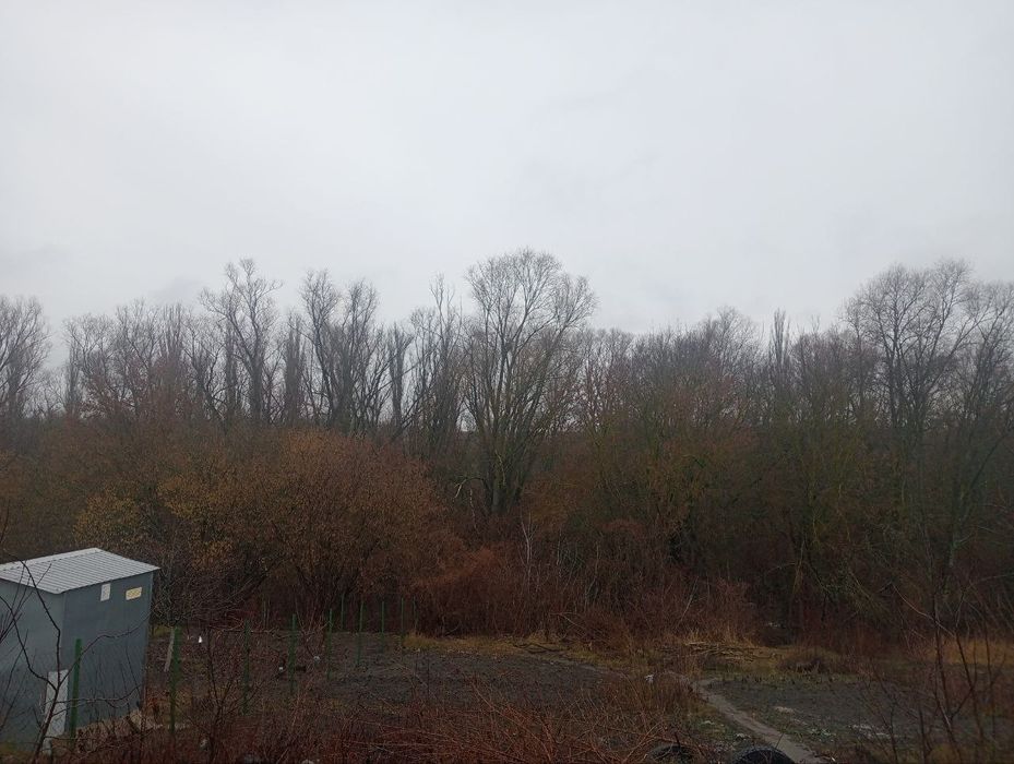 Терміново продам будинок і 2 земельні ділянки в СТ КОЛОС