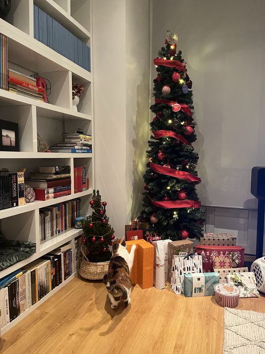 Árvore de Natal slim 2,10 m de altura