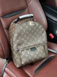 Рюкзак жіночий Louis Vuitton Palm Springs MM Brown/Black