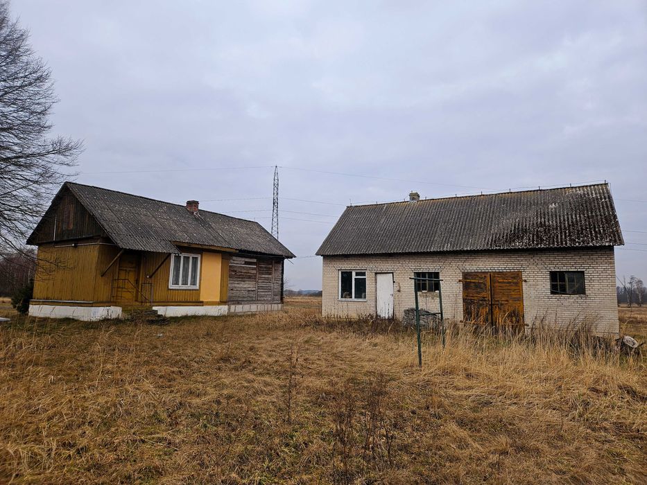 Siedlisko przy rzece Pilicy k. Koniecpola