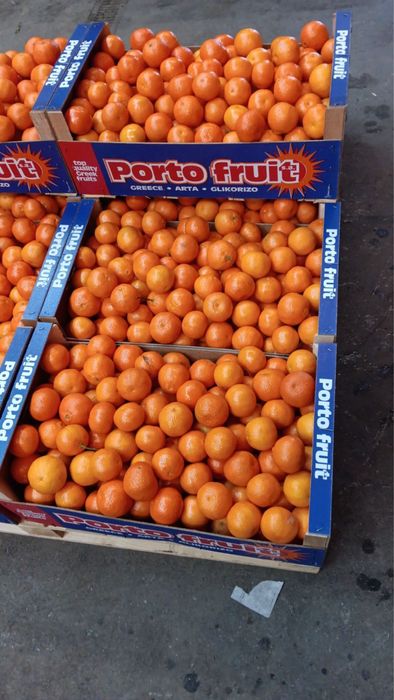 Оптовий продаж мандарин з Греції