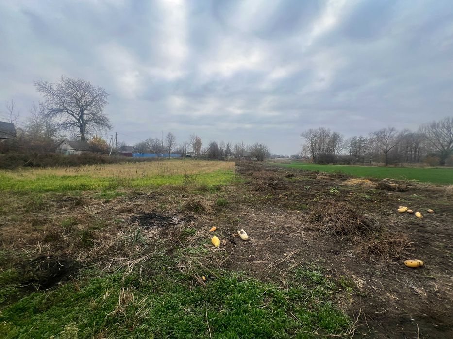 Продам 2кім будинок в селі Селище