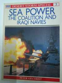Sea Power. The Coalition and Iraqi Navies