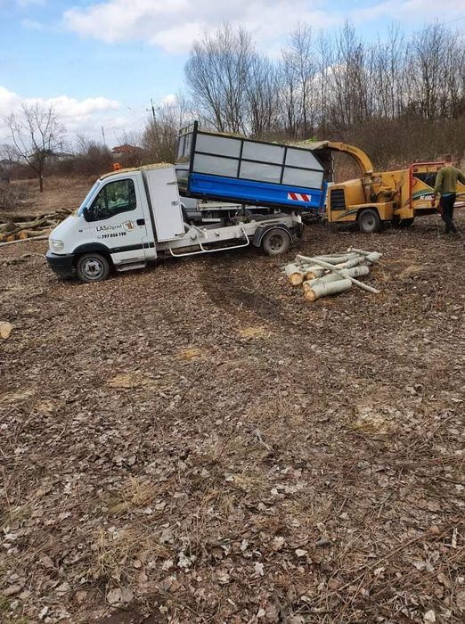 Wycinka i Pielęgnacja drzew Lasogród rębak czyszczenie działek mieleni