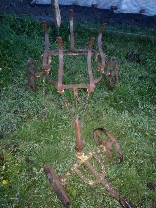 Ралло кіне, польське