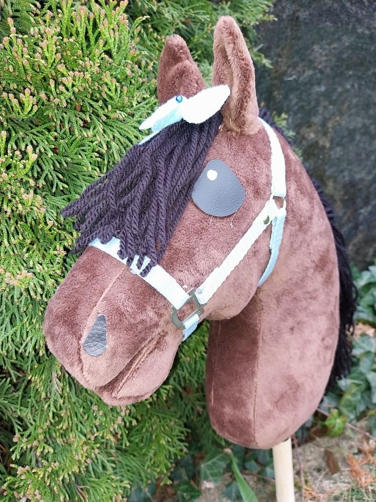 Konik hobby horse